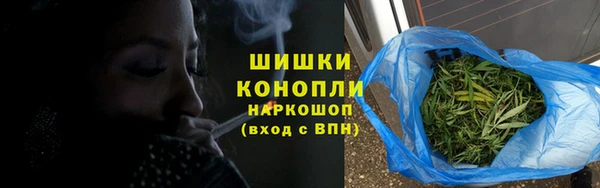 молекула духа Заволжск