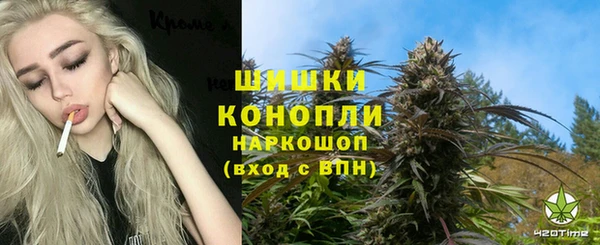 молекула духа Заволжск