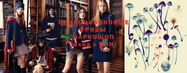 молекула духа Заволжск