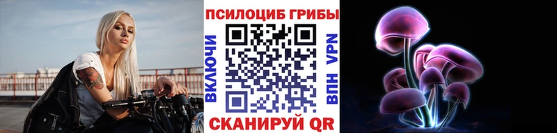 Псилоцибиновые грибы Cubensis  Купить закладки  Спасск-Дальний 